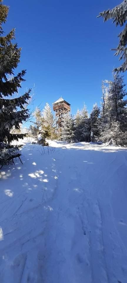 Wypoczynek Pod Gorcem Homestay *