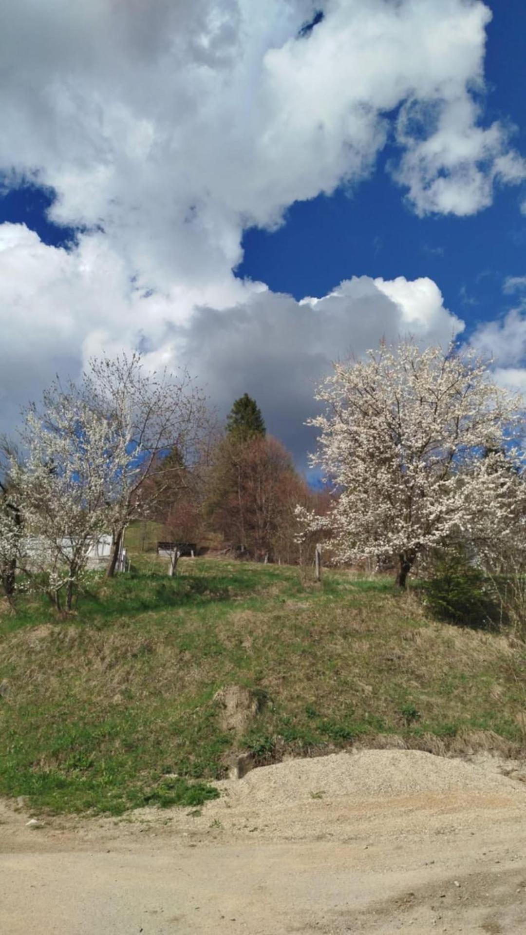 Wypoczynek U Agnieszki Homestay